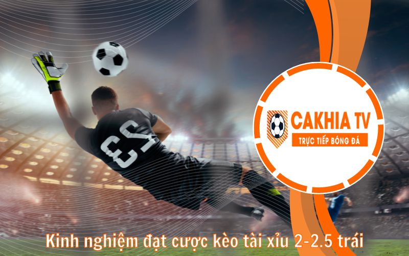 Kinh nghiệm đặt cược kèo tài xỉu 2-2.5 trái